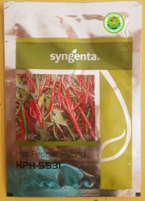 Syngenta - PEPPER SEEDS - HYBRID HOT PEPPER HPH-5531 - 119 Gm [ 20000 No.]