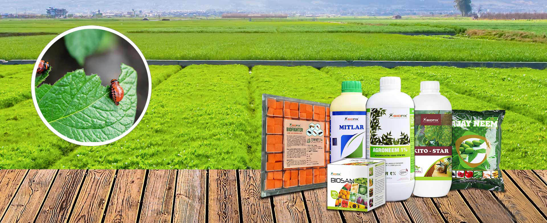 AJAY BIOTECH ( INDIA ) LTD AJAY BIOTECH ( INDIA ) LTD