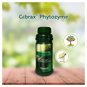 Hifield AG - Gibrax Phytozyme - Gibberelic Acid 0.001% L - 250ML