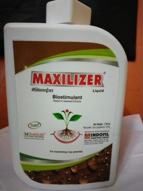 Maxilizer - Indofil - 1 Liter