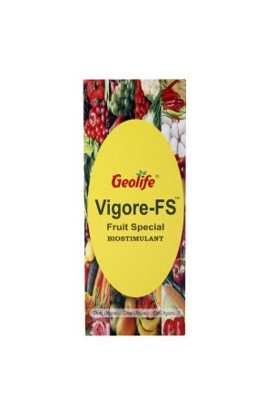 Geolife - Vigore F.S - Fruit Special - 500 ML
