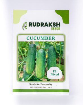 CUCUMBER SEEDS - F1 HYBRID - NIVED - 10 GM