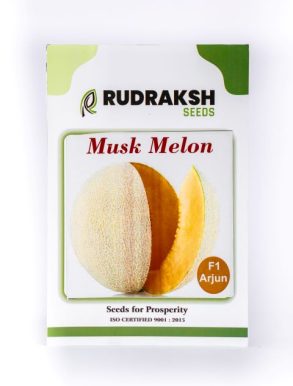 MUSK MELON SEEDS- F1 - ARJUN - 50 GM