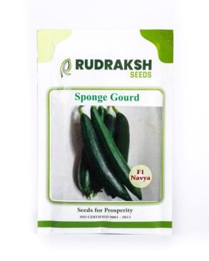 SPONGE GOURD SEEDS - F1 NAVYA - 10 GM