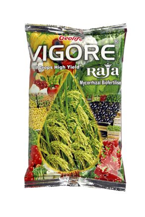 Geolife Vigore Raja - Enhanced Crop Growth and Yield Booster - 1 KG