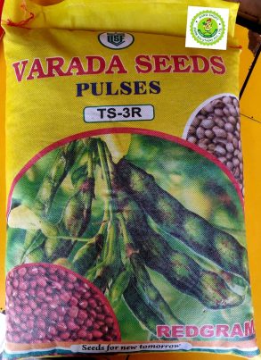 VARADA - REDGRAM SEEDS - TS-3R TUR - 5 KG