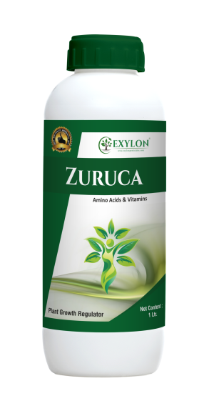 Exylon - Zuruca (Amino Acids + Vitamins)